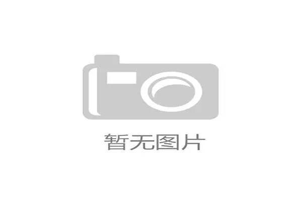 一体式球网：取代传统挂网的革新，体球网spbo1